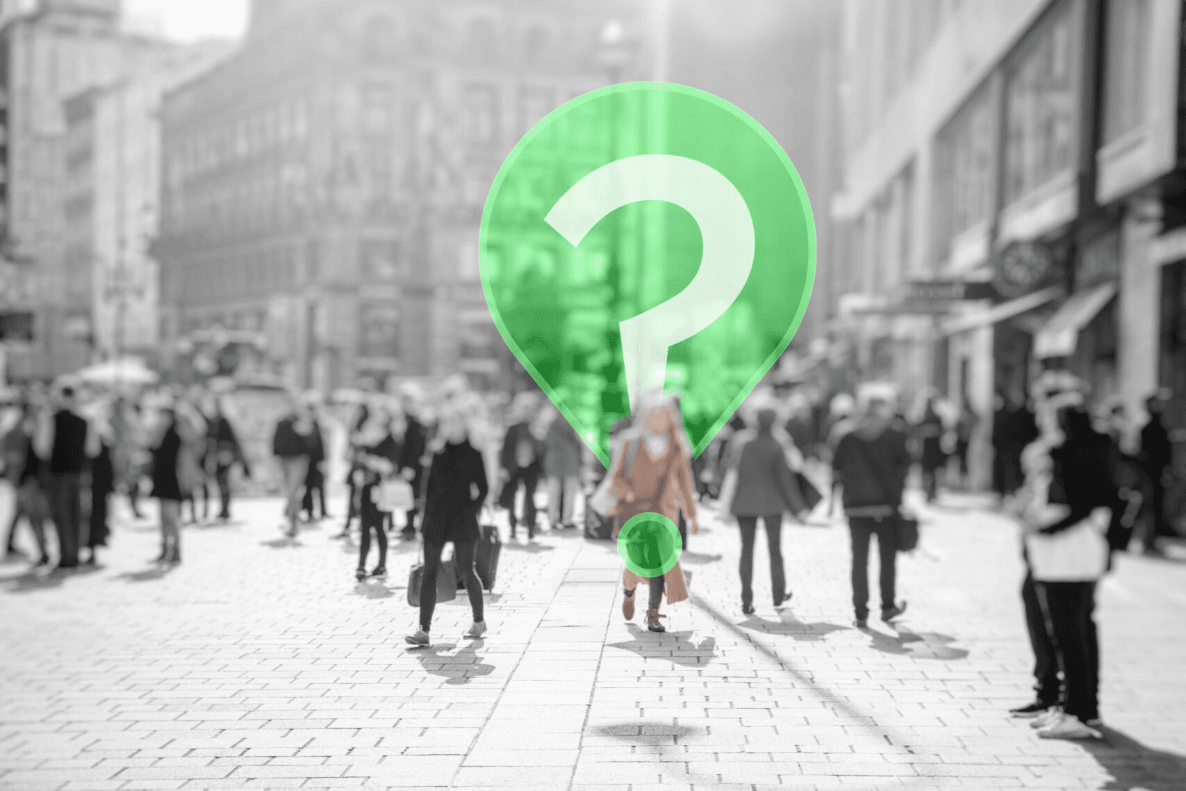 Nawigator poszukiwań